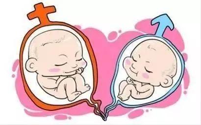 私人高龄代怀助孕服务哪家好